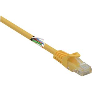 Renkforce RF-5224648 RJ45 Netwerkkabel, patchkabel CAT 5e U/UTP 0.15 m Geel Snagless, Halogeenvrij 1 stuk(s)