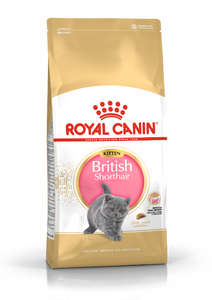 Royal Canin British Shorthair voer voor kitten 400gr