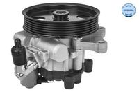 Servo pomp 0146310016