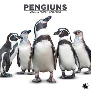 Pinguins Kalender 2026