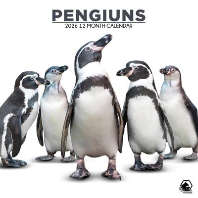 Pinguins Kalender 2026