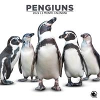 Pinguins Kalender 2026