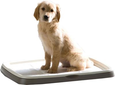 Savic puppy trainer starterkit large - Gebr de boon