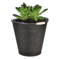 Plantenpot/bloempot emmer voor buiten - zink - zwart - D30 x H29 cm