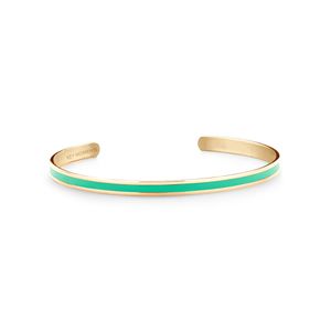 Key Moments 8KM B00537 Stalen Open Bangle One-size (60 x 50 x 4 mm) Goudkleurig / Mint