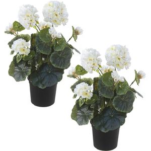 Set van 2x stuks witte geranium Pelargonium Graveolens kunstplanten in zwarte kunststof pot 35 cm