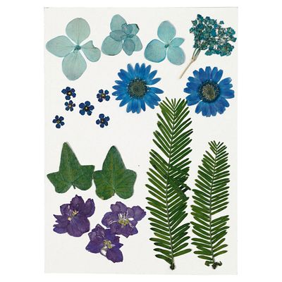 Creativ Company Gedroogde bloemen en bladeren blauw, 19dlg.