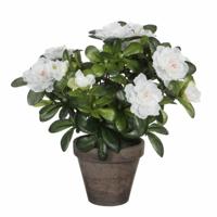 Mica Decorations Kunstplant - Azalea - groen/wit - 27 cm - Met mooie bloemen