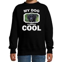 Friese stabij honden trui / sweater my dog is serious cool zwart voor kinderen - thumbnail