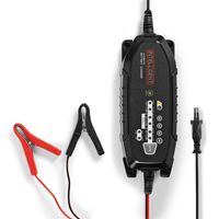 Nedis Loodzuuracculader | 6 / 12 / 12.8 V DC | 3.8 A | 1 stuks - BACCH03 BACCH03