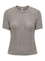 Only Onlsaga Life Ss O-neck Cc Knt Trui Korte Mouw Fungi