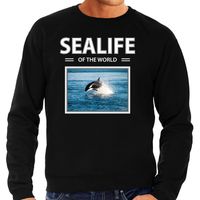Orka sweater / trui met dieren foto sealife of the world zwart voor heren - thumbnail