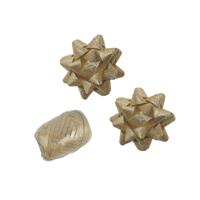 Polyband combi set glitter goud 1 ei 2 rozet | 25 stuks