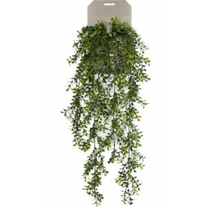 Emerald kunstplant/hangplant - Buxus - groen - 75 cm lang