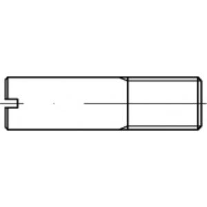 TOOLCRAFT TO-5394564 Tapeind M5 100 stuk(s)