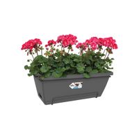 elho barcelona xl allin1 55cm Buiten Plantenpot Ophanging Polypropyleen (PP) Antraciet - thumbnail