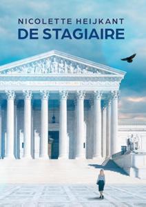 De Stagiaire (Paperback)