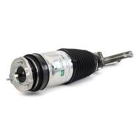 Pneumatische veerpoot AS3751 Pneumatische veerpoot AS3751