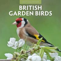 British Garden Birds Kalender 2027