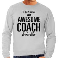 This is what an awesome coach looks like cadeau sweater / trui grijs heren - thumbnail