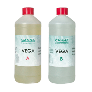 Canna Canna Hydro Vega