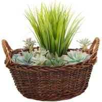 Mega Collections aardappelmand/plantenmand - Santa Fe - met handgreep - rotan - B29 x H13 cm Mega Collections aardappelmand/plantenmand - Santa Fe - met handgreep - rotan - B29 x H13 cm