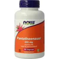 NOW Pantotheenzuur 500mg (B5)