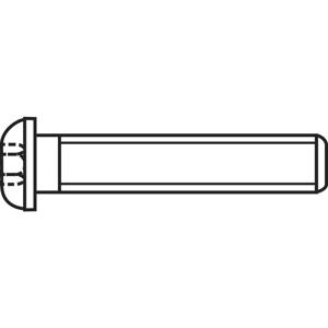 TOOLCRAFT 839800 Lenskopschroeven M4 12 mm Binnenzeskant (inbus) RVS A2 100 stuk(s)