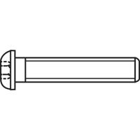 TOOLCRAFT 839800 Lenskopschroeven M4 12 mm Binnenzeskant (inbus) RVS A2 100 stuk(s)