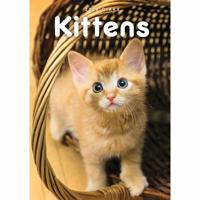 Kittens A5 Agenda 2026