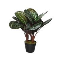 Kunstplant groene Calathea 47 cm   -