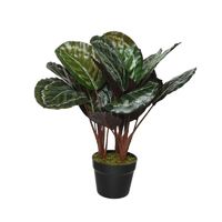 Kunstplant groene Calathea 47 cm   - - thumbnail