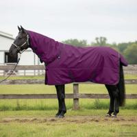 VidaXL Paardendeken donkergroen en zwart 85 cm polyester