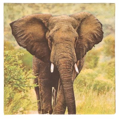 Esschert Design Servetten - Olifant print - 33x33 cm - Afrika / safari thema - wegwerpservetten Esschert Design Servetten - Olifant print - 33x33 cm - Afrika / safari thema - wegwerpservetten