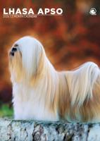 Lhasa Apso A3 Kalender 2026