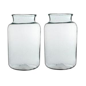 Vaas cilinder - 2x - transparant - glas - 25 x 44 cm - bloemenvazen - woondecoratie / woonaccessoire