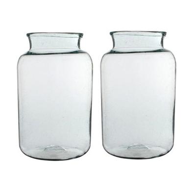 Vaas cilinder - 2x - transparant - glas - 25 x 44 cm - bloemenvazen - woondecoratie / woonaccessoire