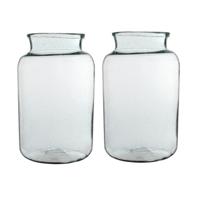 Vaas cilinder - 2x - transparant - glas - 25 x 44 cm - bloemenvazen - woondecoratie / woonaccessoire