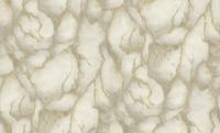 Dutch Wallcoverings Yudashkin 5 10X1,06M - Grijs/Goud