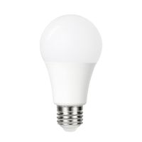 Ledlamp Integral E27 5000K koel wit 4.8W 470lumen dag/nacht sensor - thumbnail