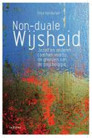 Non duale wijsheid (Paperback)