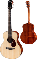 Eastman ACTG1