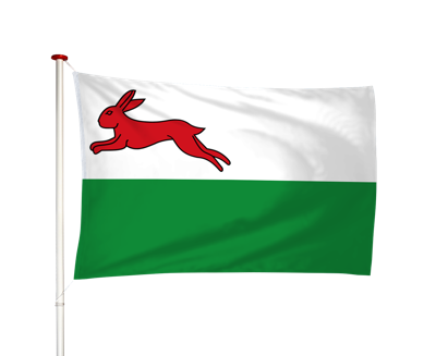 Vlag Haskerhorne - Haskerhoarne (fr)