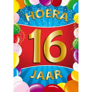 16 jaar mega deurposter 59 x 84 cm leeftijd verjaardag feestartikelen   -