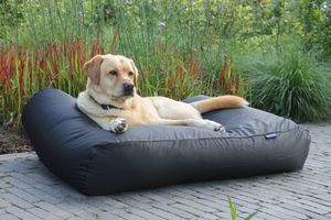 Dog's Companion® Hondenbed zwart vuilafstotende coating extra small