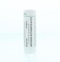 Homeoden Heel Drosera rotundifolia D12 6 Gram