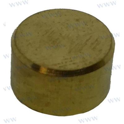Parsun PAF15-13000004W - POLEA