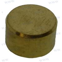 Parsun PAF15-13000004W - POLEA