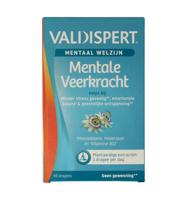 Mentale veerkracht