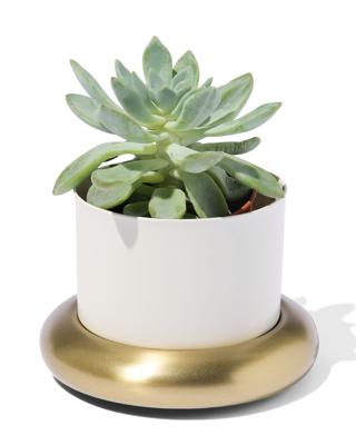 HEMA Bloempot Ø10x6.5cm metaal met schotel wit-goud (wit)